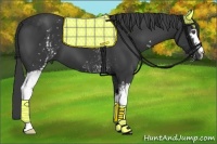 Horse Color:White Spotted Black 