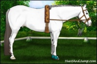 Horse Color:Liver Red Dun Near Fewspot 