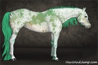 Horse Color:Watercolor Bay Ice 