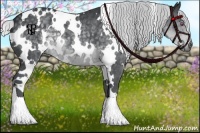 Horse Color:White Spotted Silver Black Chinchilla 