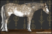Horse Color:Smoky Black Splash Frame and Silver Smoky Black Splash Frame