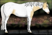Horse Color:Silver Bay Dun Tobiano Frame Rabicano