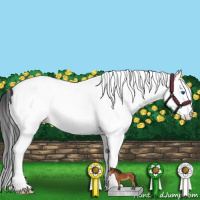 Horse Color:White Spotted Bay Splash Tobiano