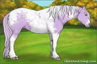 Horse Color:Watercolor Palomino Tobiano 