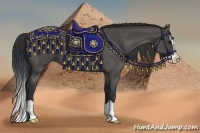Horse Color:Black Splash