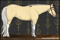 Horse Color:Silver Buckskin Dun Tobiano