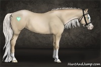 Horse Color:Silver Smoky Black Pearl Splash