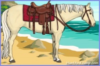 Horse Color:Palomino Dun 