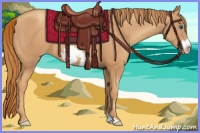 Horse Color:Gold Champagne Frame 