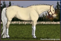 Horse Color:Silver Buckskin Roan Dun Tobiano