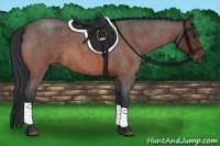 Horse Color:Bay Roan 