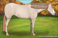 Horse Color:Smoky Black Pearl Splash 