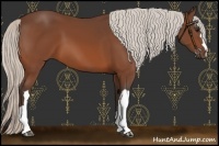 Horse Color:Silver Bay 