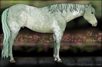 Horse Color:Watercolor White Spotted Silver Black Ice Sabino 