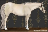 Horse Color:Chocolate Palomino Pearl