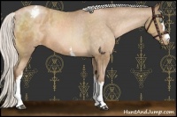 Horse Color:White Spotted Silver Brown Pearl Appaloosa