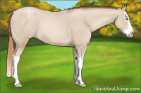 Horse Color:Smoky Black Pearl Splash