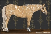 Horse Color:Palomino Near Leopard  and Palomino 