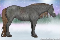 Horse Color:Liver Chestnut Ice Rabicano