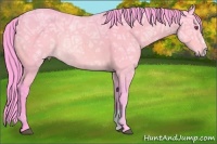 Horse Color:Watercolor Brown Chinchilla Ice Sabino 