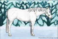 Horse Color:Amber Cream Champagne Splash Tobiano