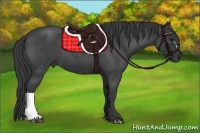 Horse Color:Blue Roan