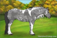 Horse Color:Smoky Blue Ice Roan Tobiano
