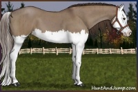 Horse Color:Liver Red Dun Splash Brindle