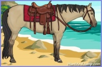 Horse Color:Buckskin Dun 