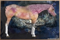 Horse Color:Brown Ice  and Brown Ice 