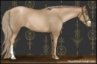 Horse Color:Liver Chestnut Pearl 