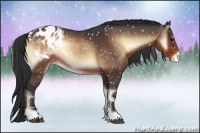Horse Color:Brown Onyx Snowflake Varnish 