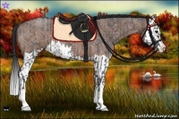 Horse Color:Blue Roan Sabino Splash  and Bay Roan Sabino Splash 