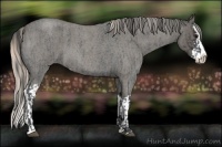 Horse Color:Blue Roan Sabino Splash and Silver Blue Roan Sabino Splash