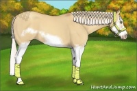 Horse Color:Silver Classic Champagne Dun Splash Frame