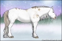 Horse Color:Liver Red Dun Sabino Splash Rabicano