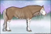 Horse Color:Liver Red Dun Sabino Splash Rabicano