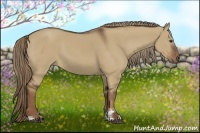 Horse Color:Liver Red Dun Sabino