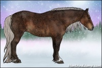 Horse Color:Silver Brown Ice Sabino 