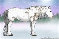 Horse Color:Bay Ice Onyx Sabino