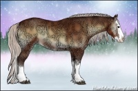 Horse Color:Silver Bay Ice Onyx Sabino Splash