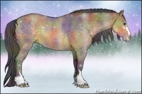 Horse Color:Nacre Buckskin Dun Sabino 