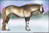 Horse Color:Liver Red Onyx