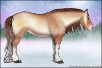 Horse Color:Chocolate Brown Pearl Onyx
