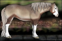 Horse Color:Silver Blue Onyx Splash