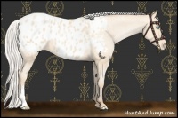 Horse Color:Chocolate Silver Buckskin Pearl Varnish 