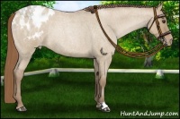 Horse Color:Grullo Roan Snowdrop Pearl Varnish Rabicano 