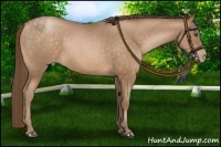Horse Color:Brown Pearl 