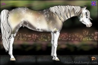 Horse Color:White Spotted Liver Red Onyx Splash 