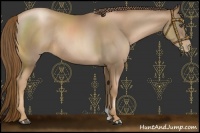 Horse Color:Liver Chestnut Pearl Rabicano